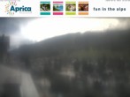 Archived image Webcam Aprica 11:00