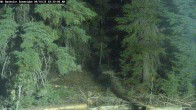Archiv Foto Webcam Schneehöhenanzeige Mt Bachelor 03:00