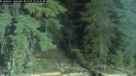 Archiv Foto Webcam Schneehöhenanzeige Mt Bachelor 05:00