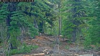 Archiv Foto Webcam Schneehöhenanzeige Mt Bachelor 07:00