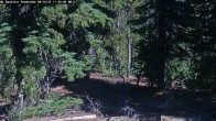 Archived image Webcam Snow Stake Mt Bachelor 11:00