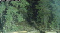 Archived image Webcam Snow Stake Mt Bachelor 01:00