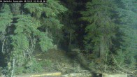 Archived image Webcam Snow Stake Mt Bachelor 03:00