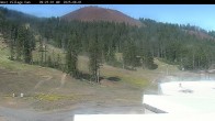 Archiv Foto Webcam Mt Bachelor: The Cone 09:00