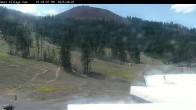 Archiv Foto Webcam Mt Bachelor: The Cone 13:00