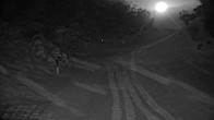 Archiv Foto Webcam Hotham Alpine Resort: Snake Gully 01:00