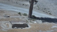Archiv Foto Webcam Mammoth Mountain: Face Lift Express 3 10:00