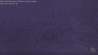 Archived image Webcam Mammoth Mountain - Canyon Lodge 02:00
