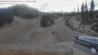 Archiv Foto Webcam Mammoth Mountain: Canyon Lodge 14:00