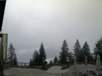Archiv Foto Webcam Katrin-Bergstation (1415m) 19:00