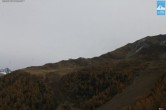 Archived image Webcam Adler Lounge mountain hut 11:00