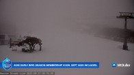 Archived image Webcam Mt Buller - Bourke Street 05:00