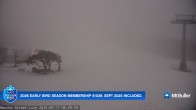 Archiv Foto Webcam Mt Buller: Bourke Street 00:00