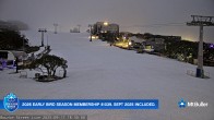 Archiv Foto Webcam Mt Buller: Bourke Street 17:00