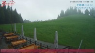 Archiv Foto Webcam Alberschwende: Alpengasthof Brüggele 15:00