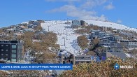 Archiv Foto Webcam Mt Buller: Village 11:00