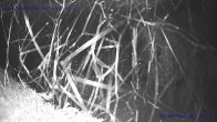 Archived image Webcam St. Gallenkirch 01:00