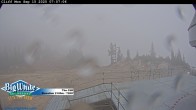 Archived image Webcam The Cliff / Big White Ski Resort 08:00