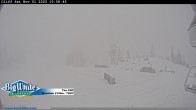 Archived image Webcam The Cliff / Big White Ski Resort 11:00