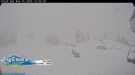 Archiv Foto Webcam The Cliff / Big White Ski Resort 13:00