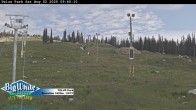 Archiv Foto Webcam Telus Park 10:00
