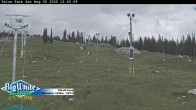Archiv Foto Webcam Telus Park 12:00