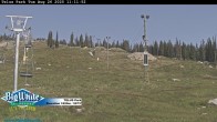 Archived image Webcam Telus Park 12:00