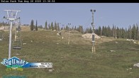 Archived image Webcam Telus Park 14:00