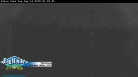 Archiv Foto Webcam Telus Park 00:00