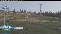 Archived image Webcam Telus Park 08:00