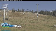Archived image Webcam Telus Park 12:00