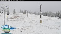 Archiv Foto Webcam Telus Park 06:00