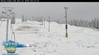 Archiv Foto Webcam Telus Park 08:00