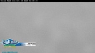 Archived image Webcam Telus Park 01:00