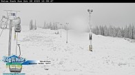 Archived image Webcam Telus Park 11:00