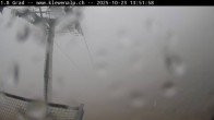 Archived image Webcam Top station Klewenalp 13:00