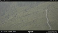 Archiv Foto Webcam Malga Tognola 11:00