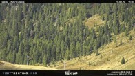 Archiv Foto Webcam Malga Tognola 11:00