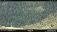 Archived image Webcam Malga Tognola 08:00