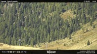 Archived image Webcam Malga Tognola 11:00