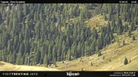 Archived image Webcam Malga Tognola 13:00