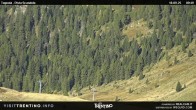Archived image Webcam Malga Tognola 09:00