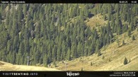 Archived image Webcam Malga Tognola 11:00
