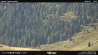 Archived image Webcam Malga Tognola 15:00