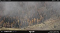 Archiv Foto Webcam Malga Tognola 11:00