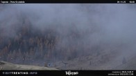 Archiv Foto Webcam Malga Tognola 17:00
