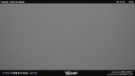 Archived image Webcam Malga Tognola 11:00