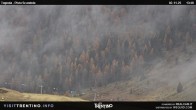 Archived image Webcam Malga Tognola 13:00