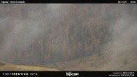 Archived image Webcam Malga Tognola 15:00