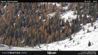 Archived image Webcam Malga Tognola 09:00